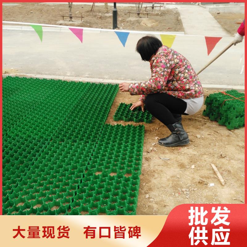 植草格厂家-批发零售价当地品牌