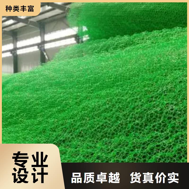 三维植被网-植草格客户信赖的厂家本地厂家