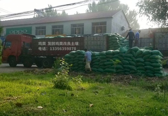 汕头广澳街道鸡粪有机肥增肥农田