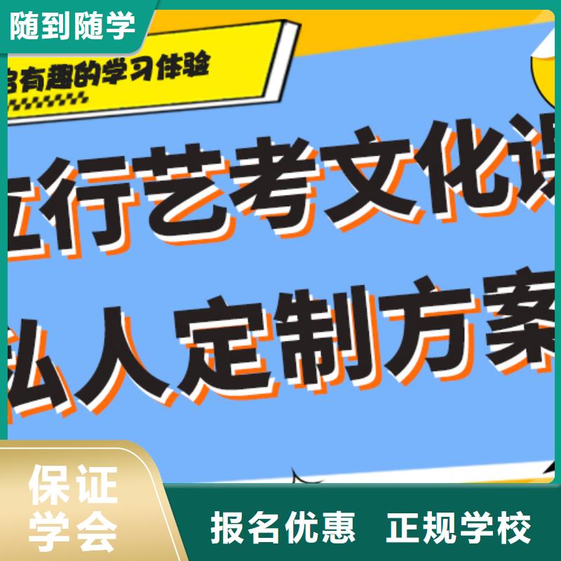 艺考文化课冲刺哪里好双文化课教学技能+学历