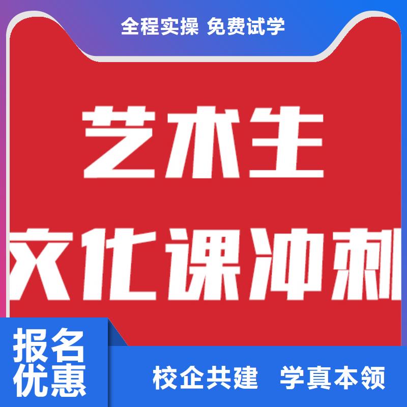 艺考生文化课有没有在那边学习的来说下实际情况的？师资力量强