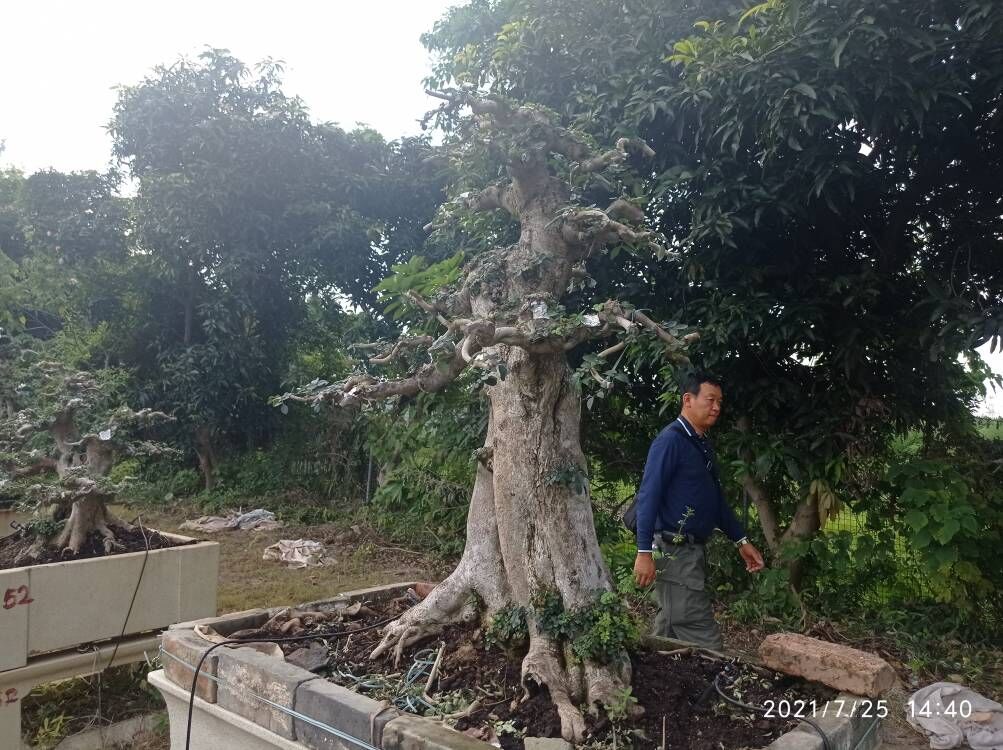 海泥软土加固 【洛阳】现货 软基就地固化报价